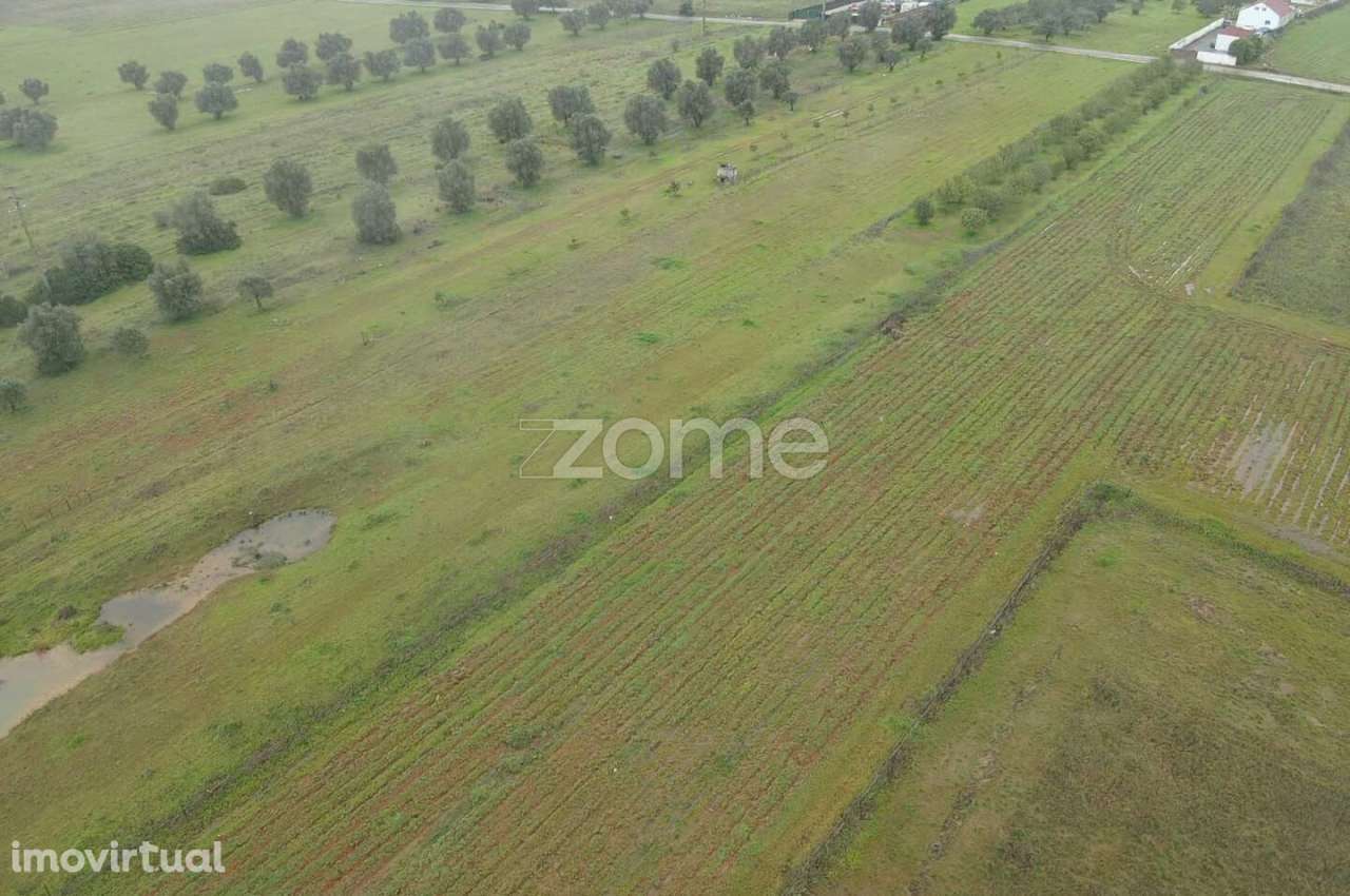 Terreno Rústico c/ 2.440m2 em Lenciscais, Paderne, Albufeira - Grande imagem: 3/16