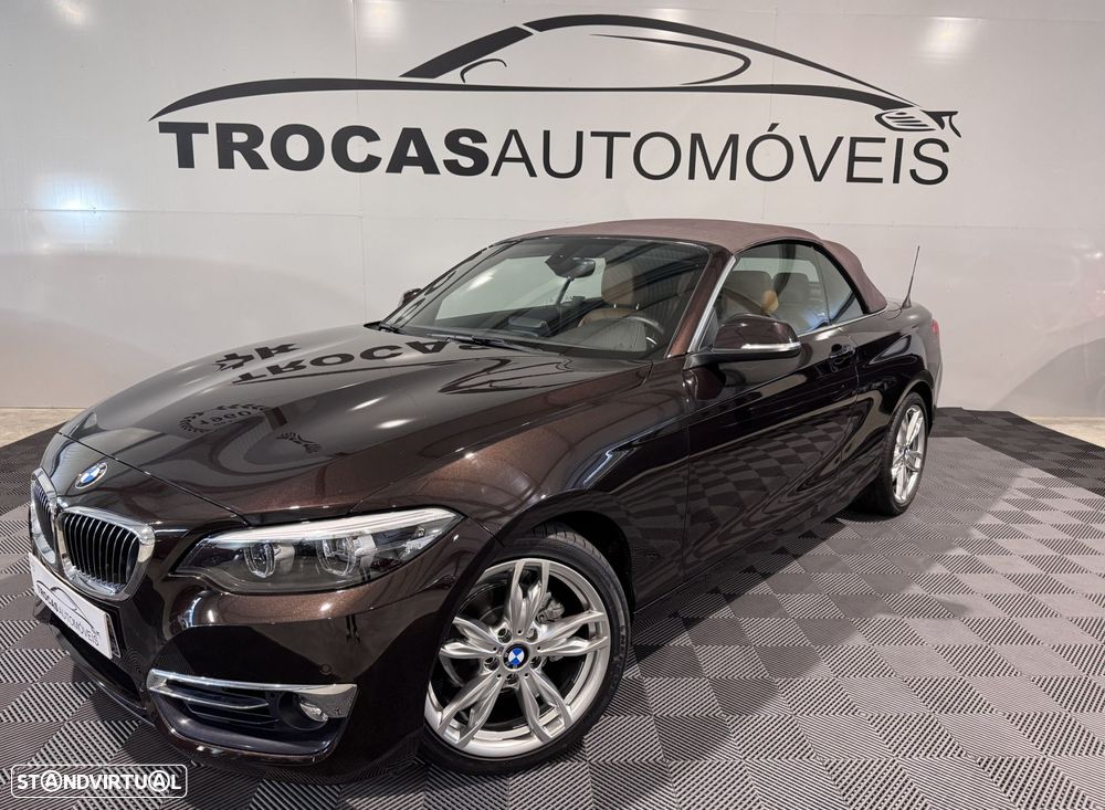 BMW 218 i Cabrio Line Luxury Auto - 21