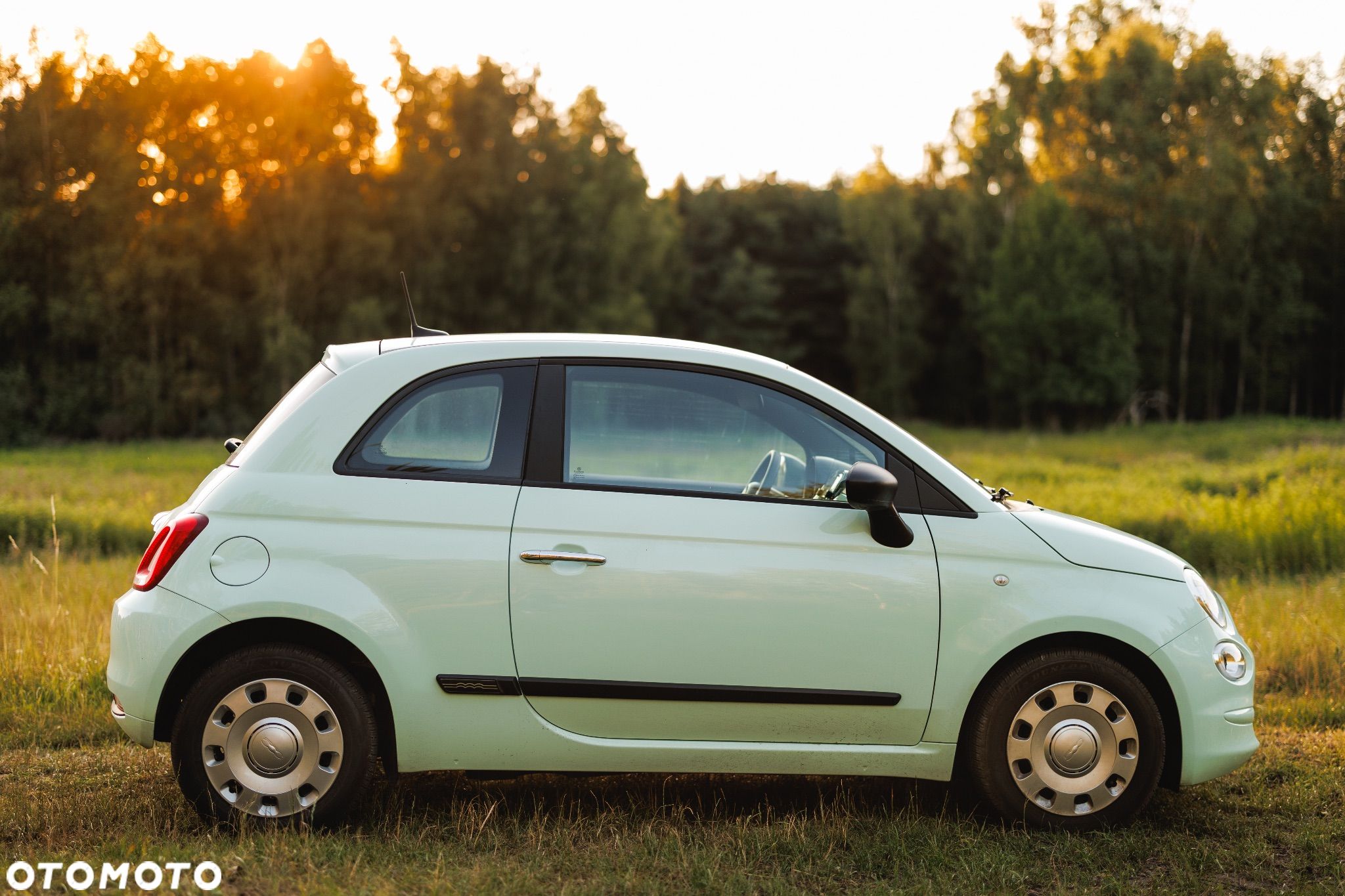 Fiat 500 1.0 Hybrid Pop - 1