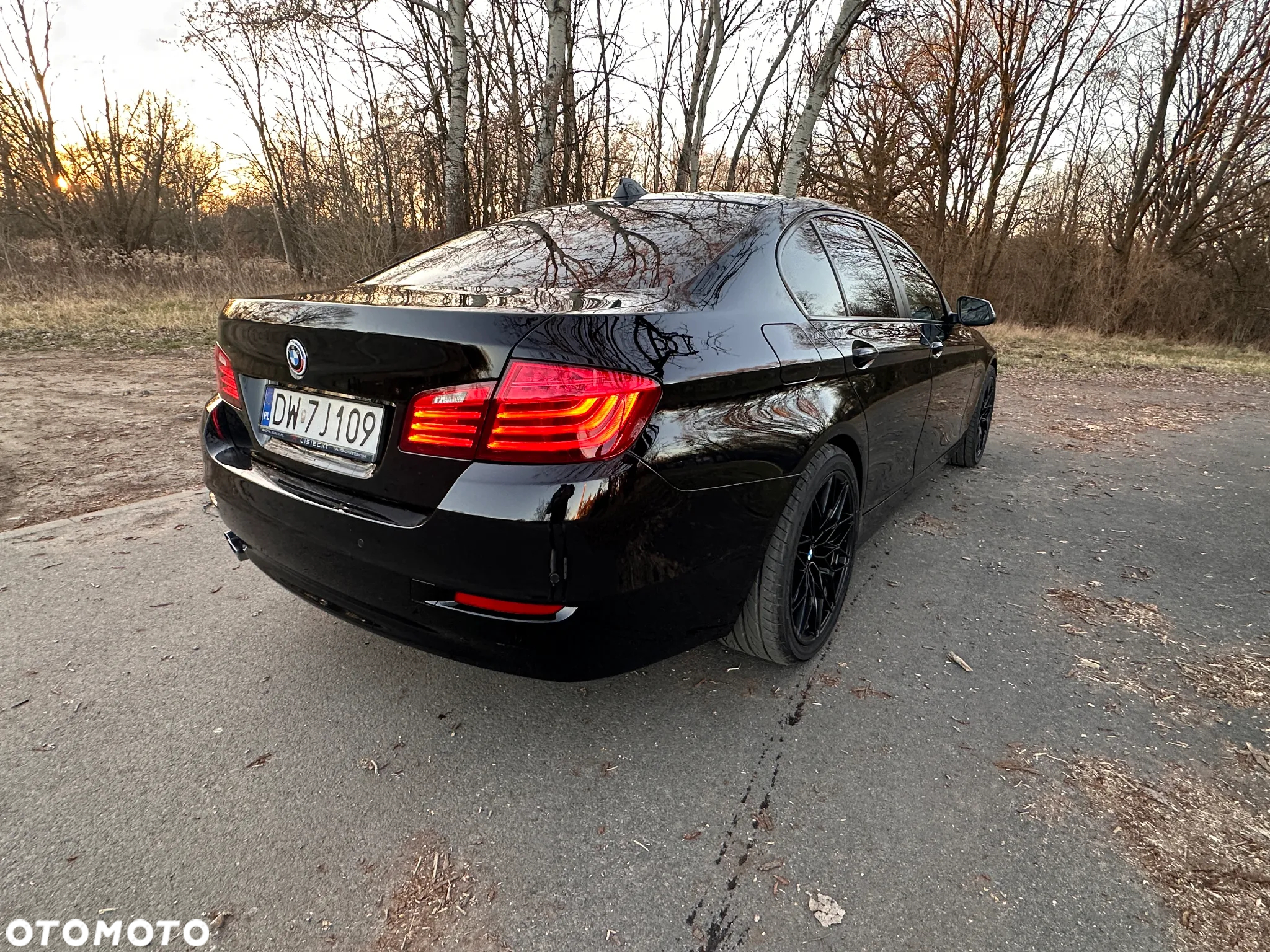 BMW Seria 5 518d Luxury Line - 19