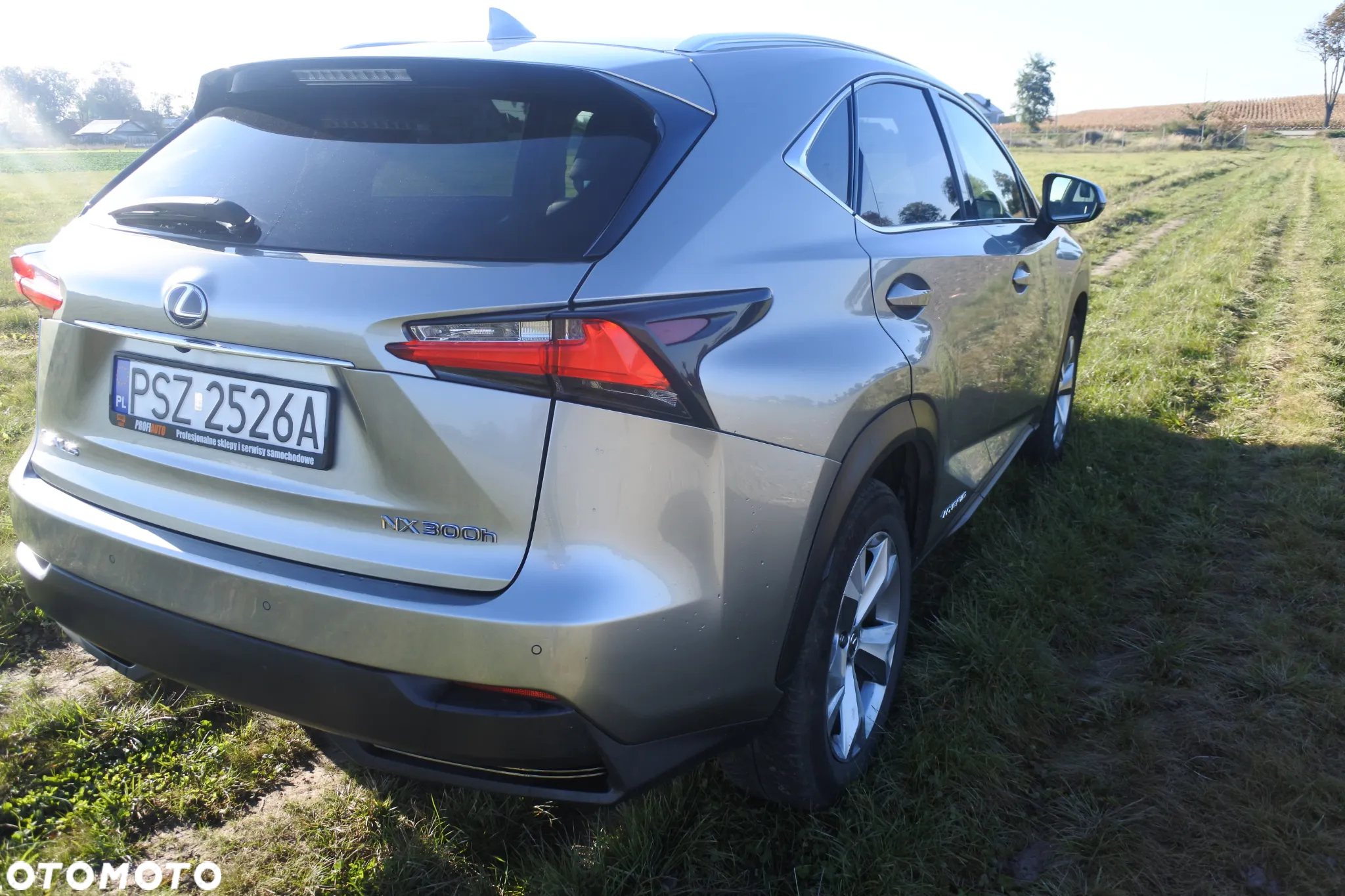 Lexus NX - 7
