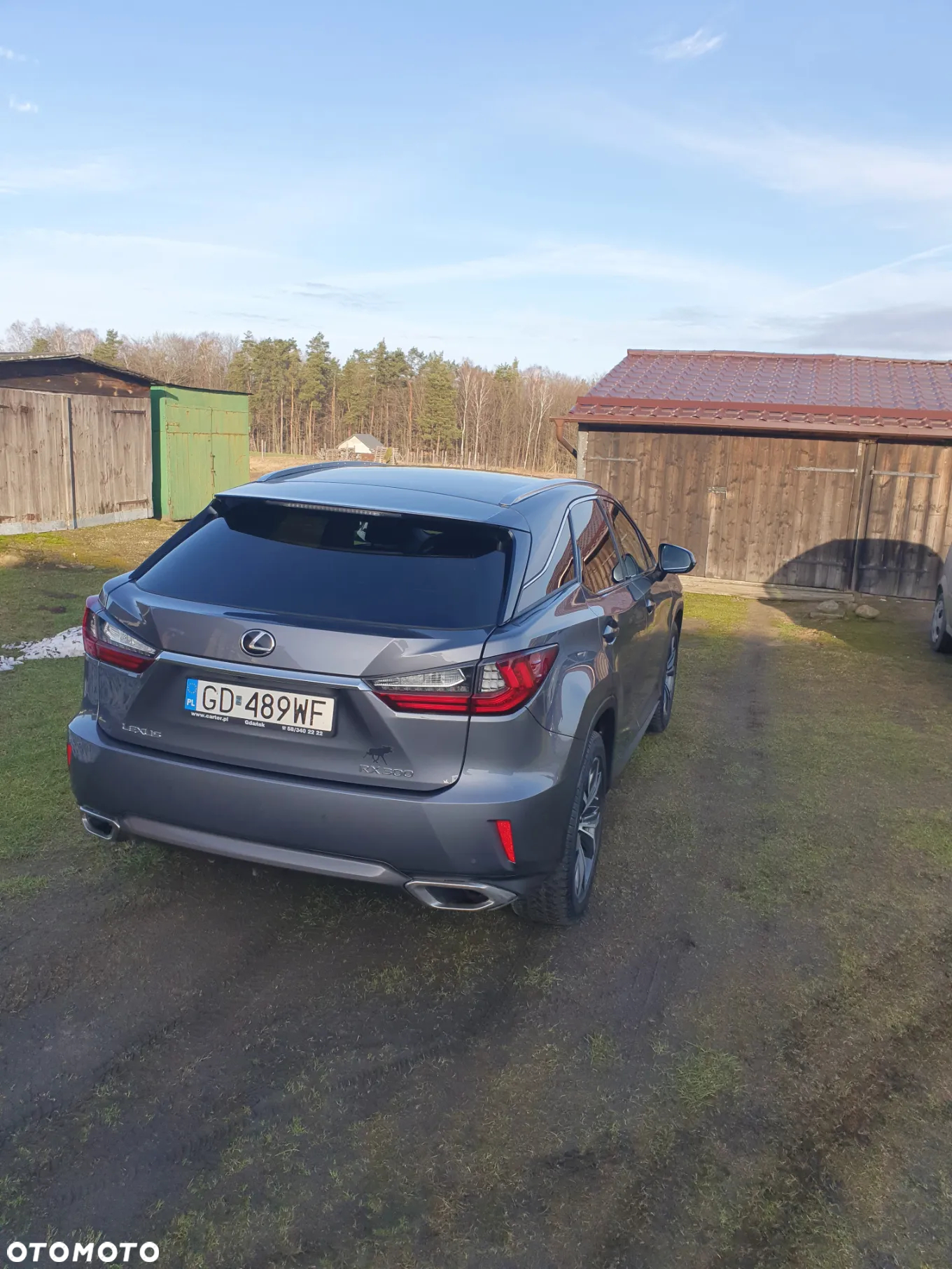 Lexus RX 200t / 300 Elegance - 7