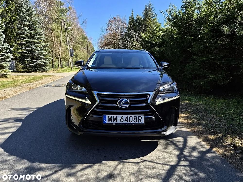 Lexus NX 300h Elite AWD - 20