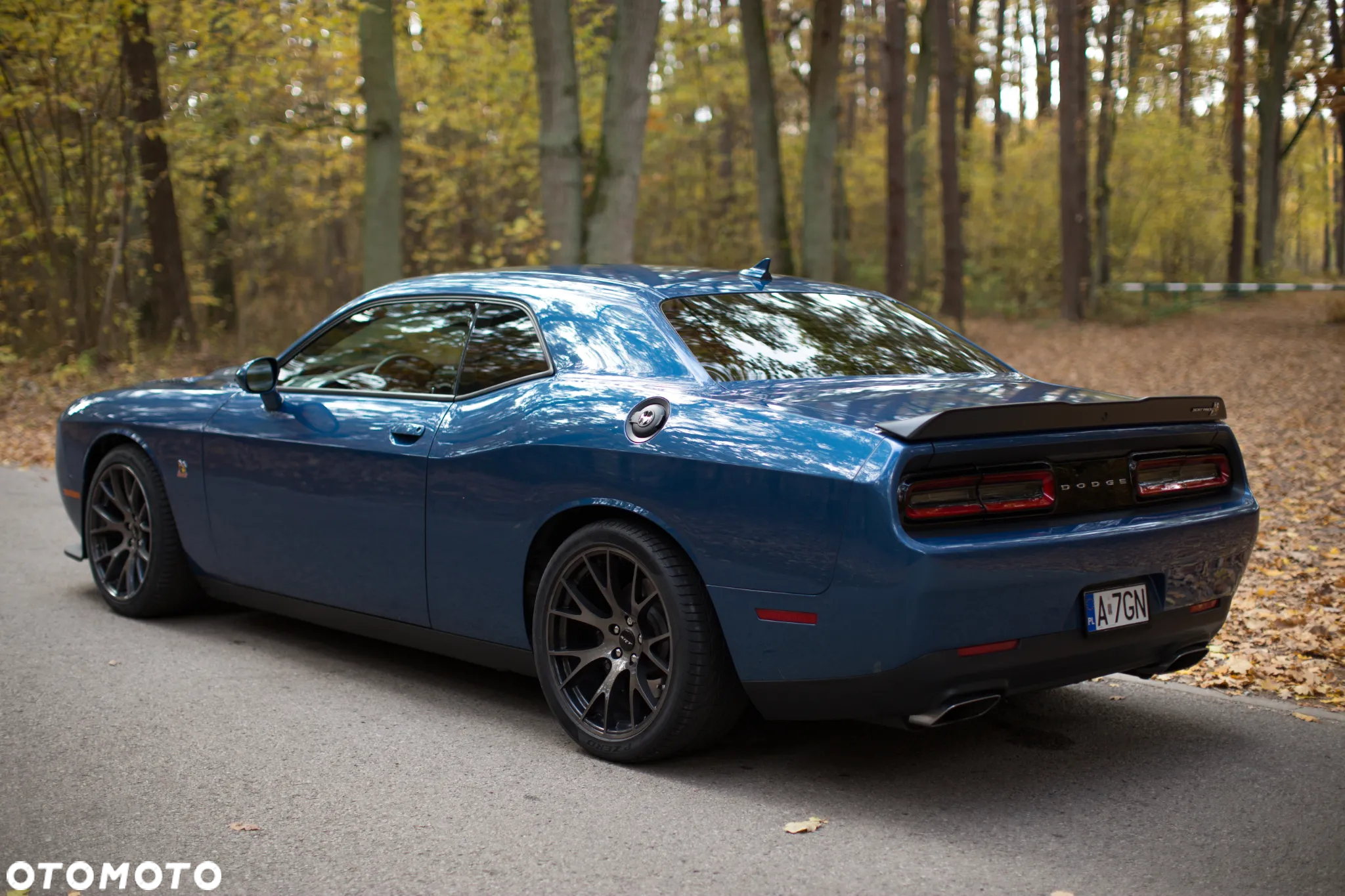 Dodge Challenger - 5