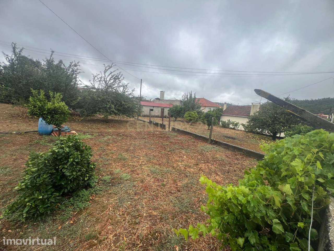 Terreno Plano para Construção | Cabaços | Alvaiázere - Grande imagem: 3/5