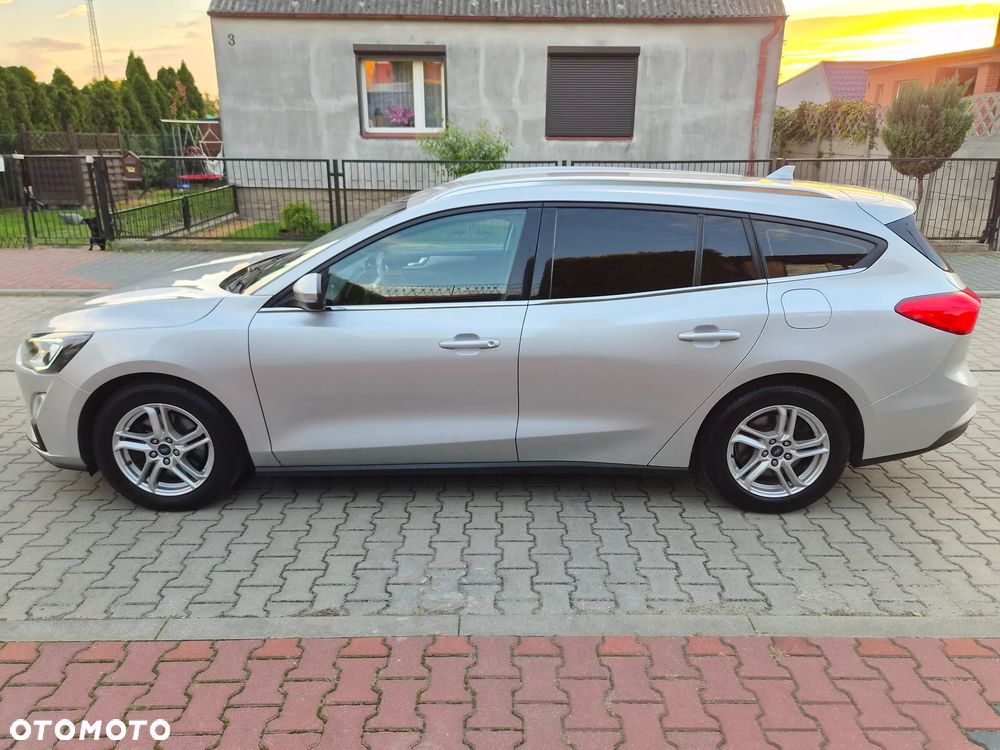 Ford Focus 2019 photo 2