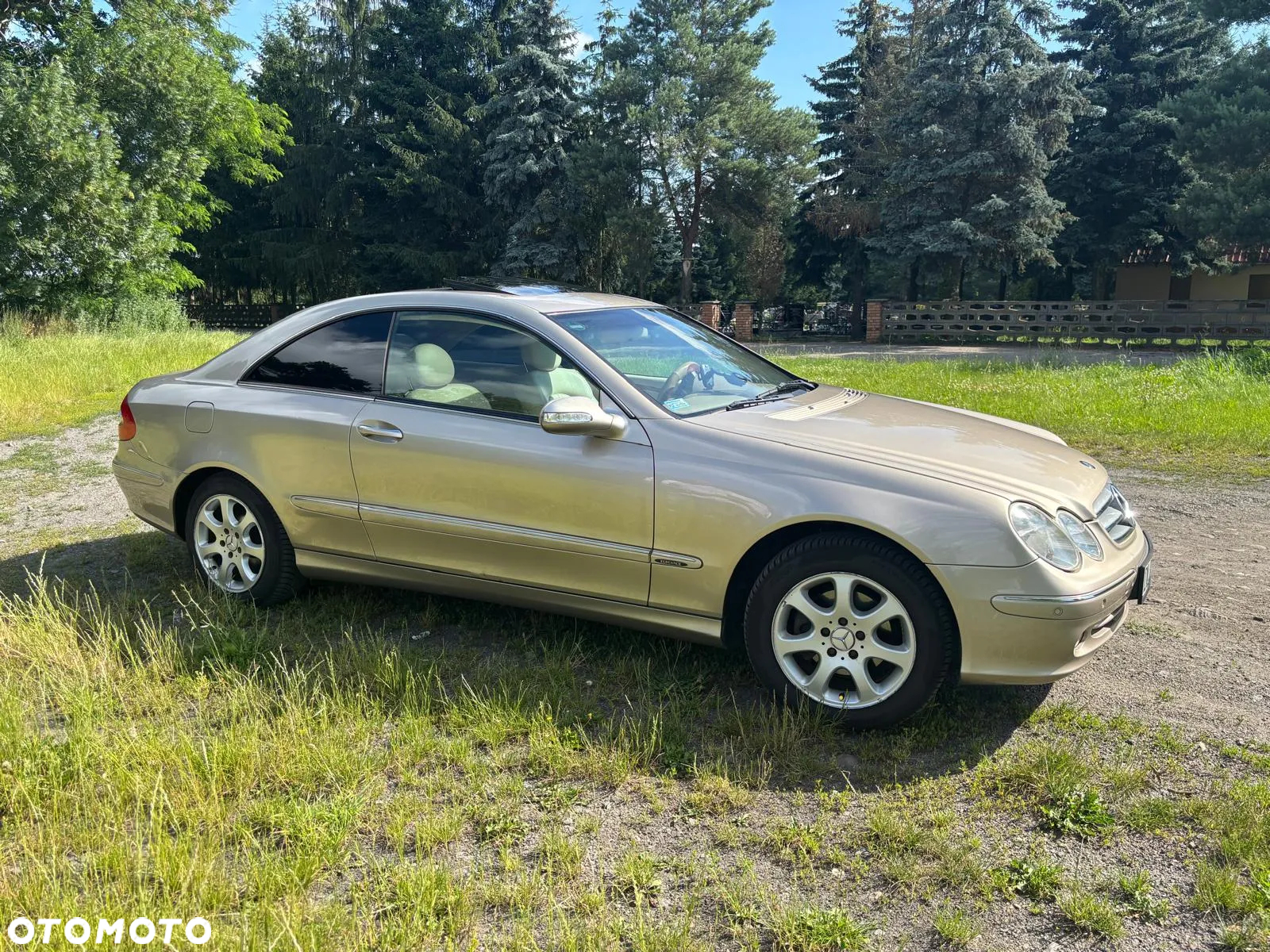 Mercedes-Benz CLK - 14