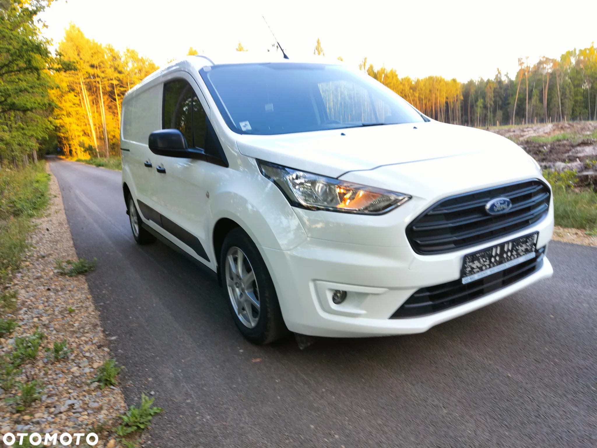 Ford Transit - 11