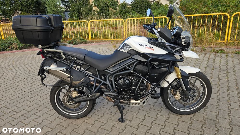 Triumph Tiger - 4