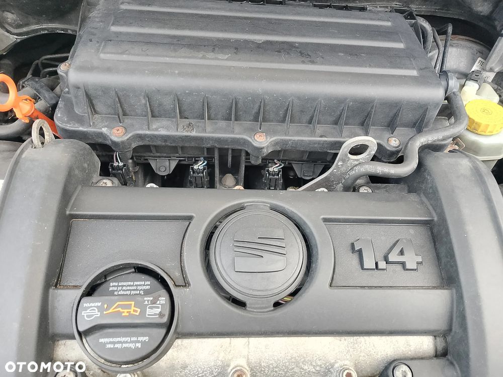 Seat Ibiza - 16