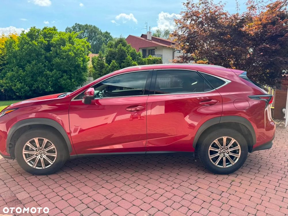 Lexus NX 300 AWD - 2
