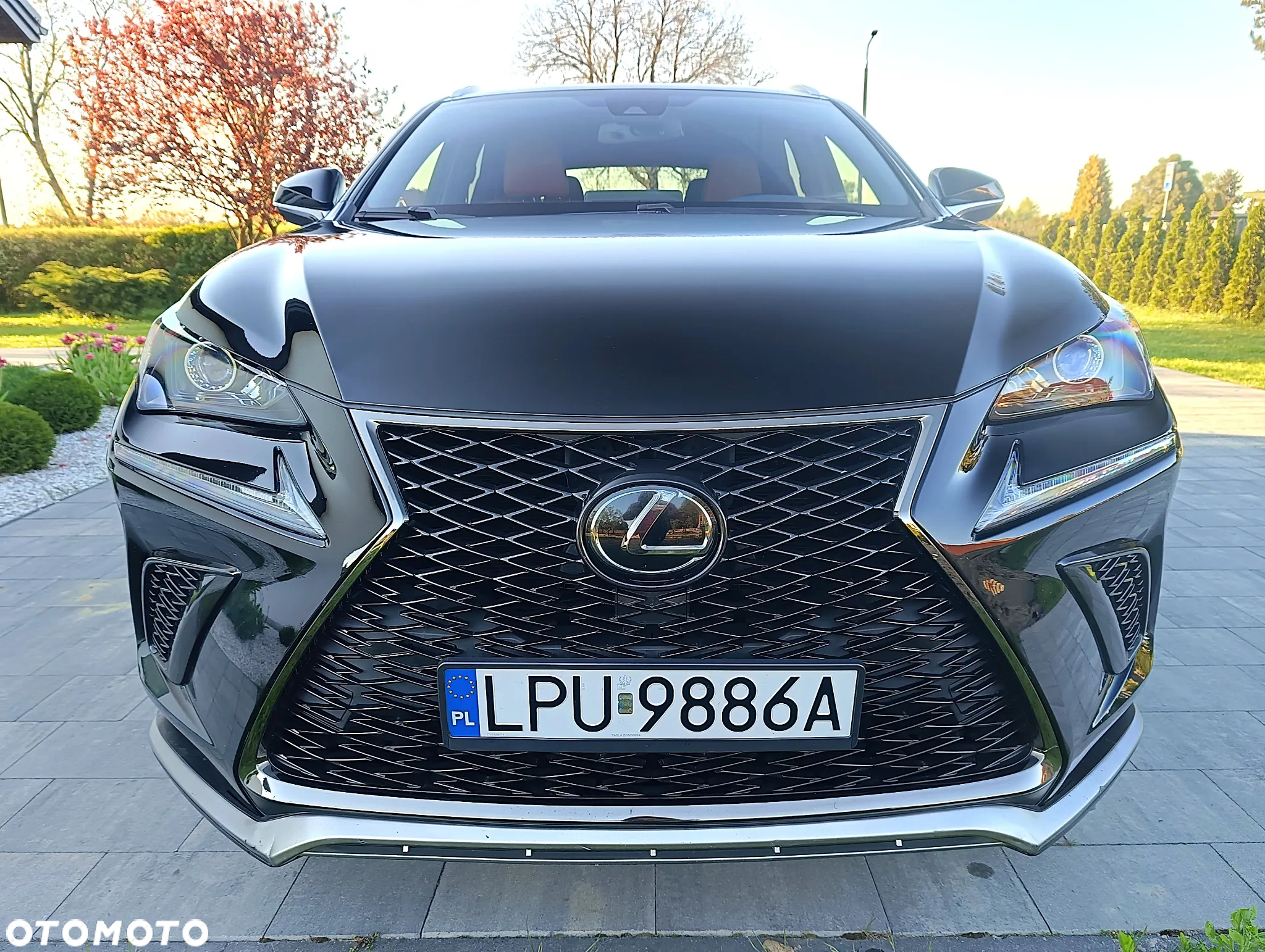 Lexus NX - 4