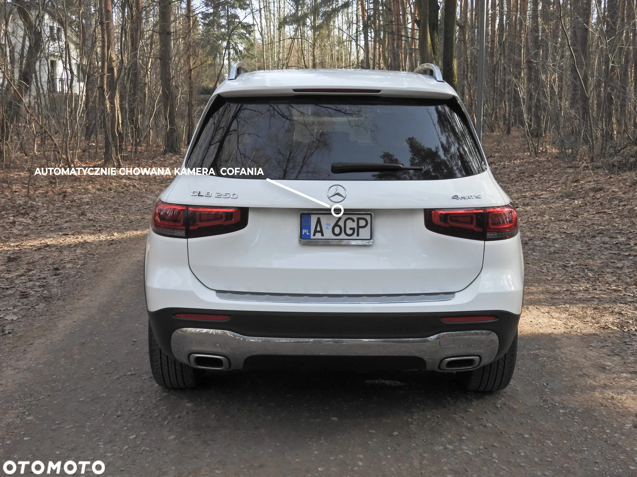 Mercedes-Benz GLB 250 4-Matic 8G-DCT - 6