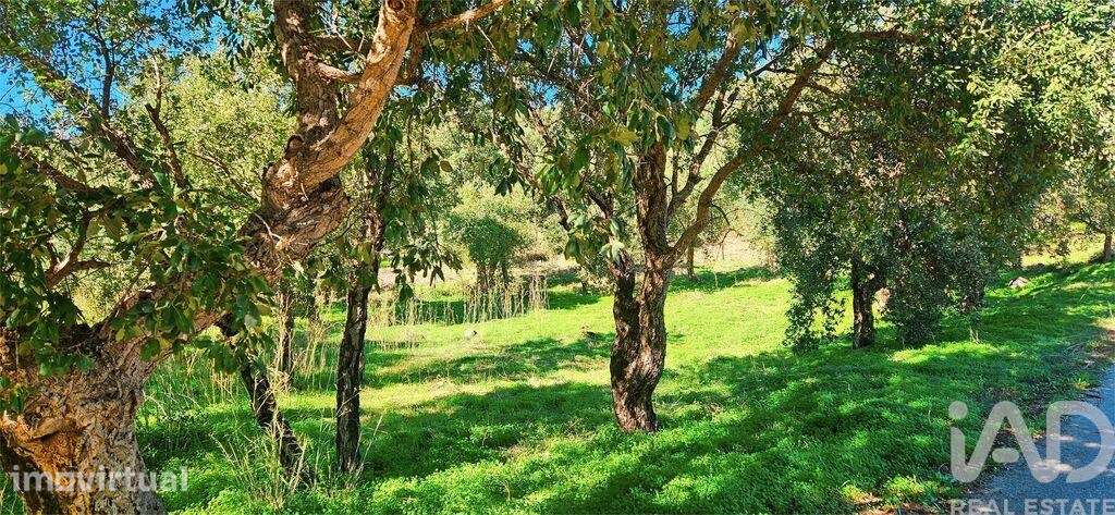 Terreno em Monchique - Grande imagem: 2/24