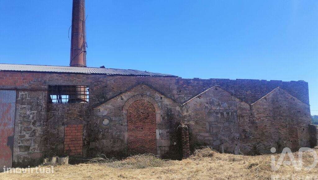 Hangar em Canas de Santa Maria de 6939,00 m2 - Grande imagem: 2/6