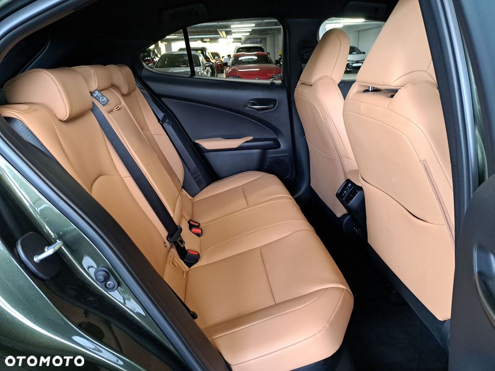 Lexus UX 300h F Sport Design - 14