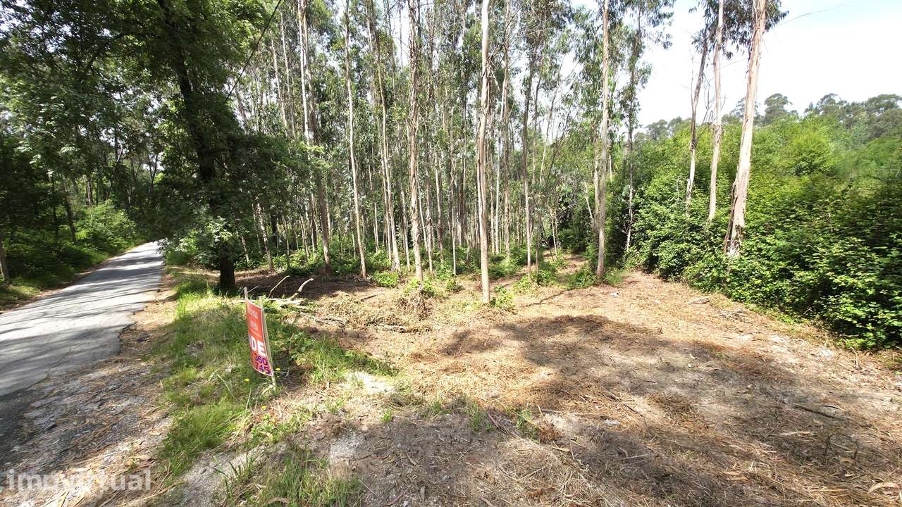 Terreno p/ construção Fervença, Celorico de Basto - Grande imagem: 5/5