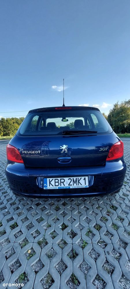 Peugeot 307 1.6 - 7