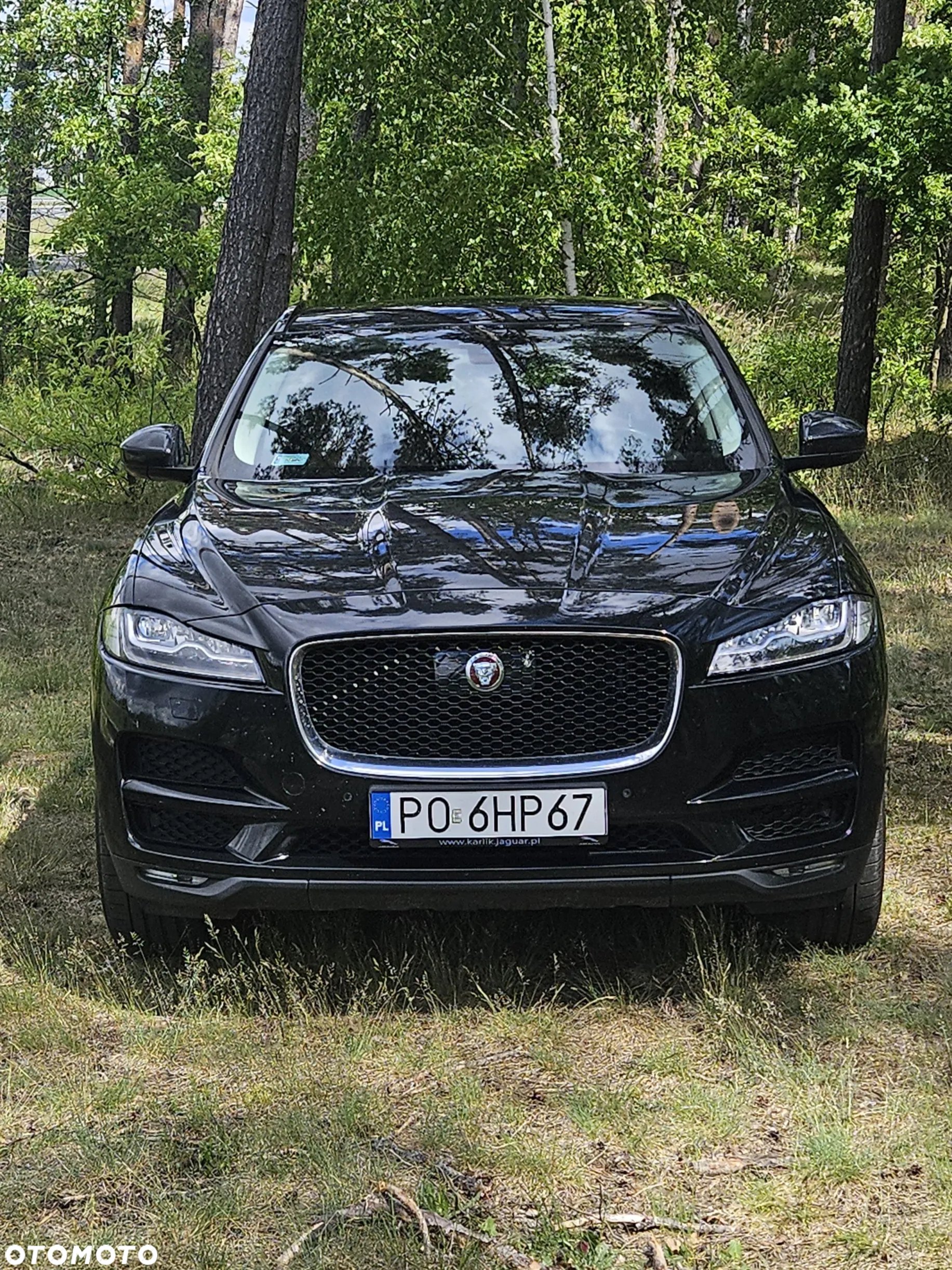 Jaguar F-Pace 2.0 i4D AWD Portfolio - 6
