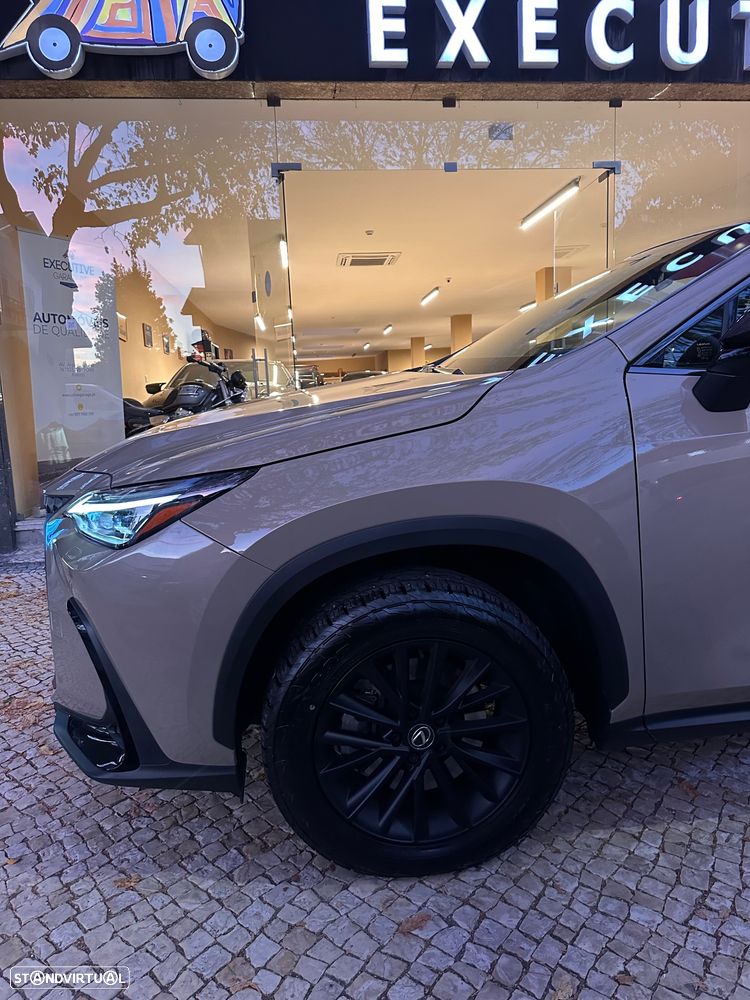 Lexus NX 450h+ - 22