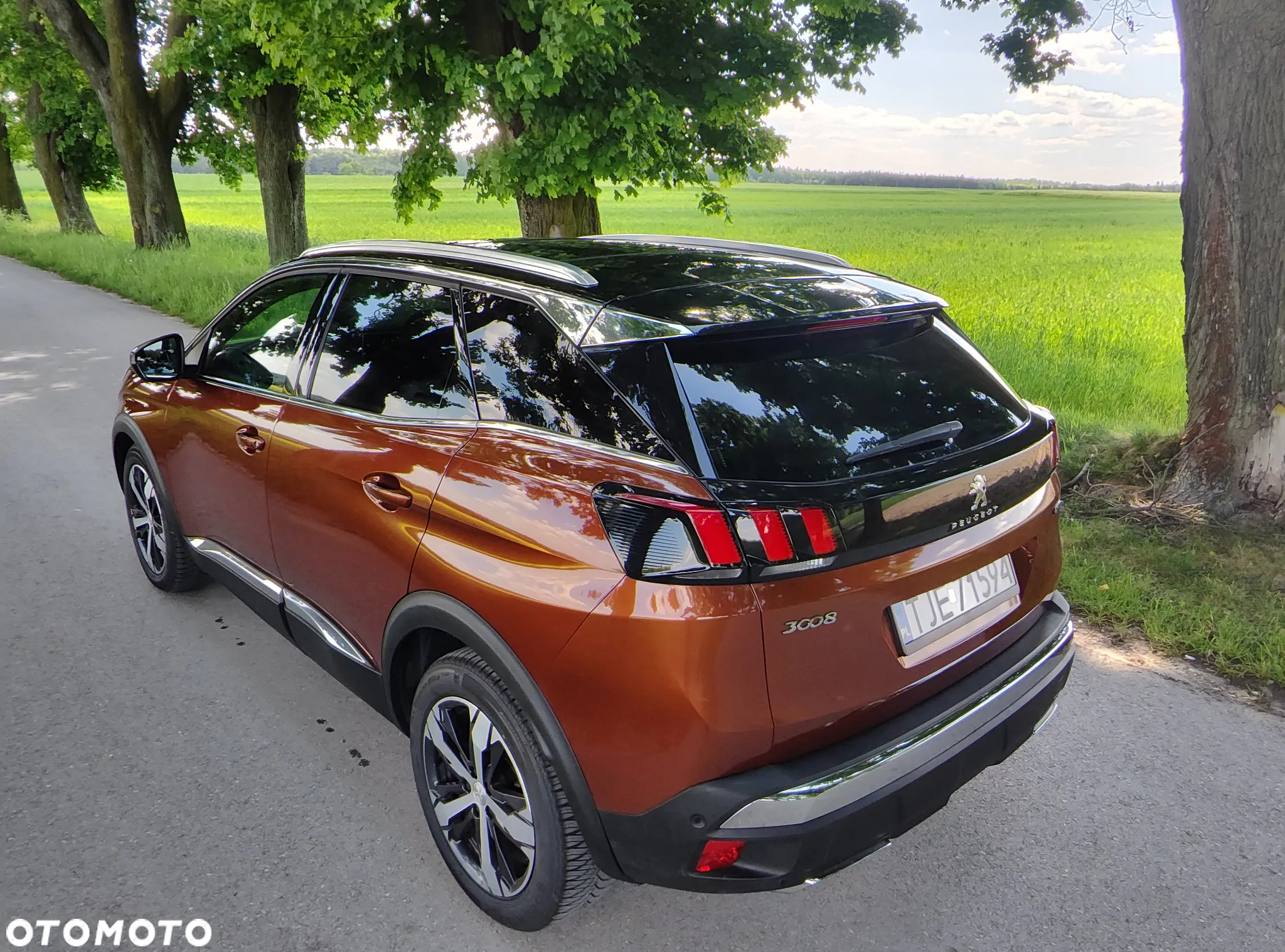 Peugeot 3008 2.0 BlueHDi GT S&S EAT8 - 15