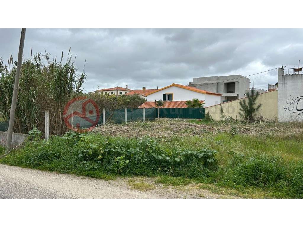 Terreno Urbano para construção de moradia - Grande imagem: 3/6