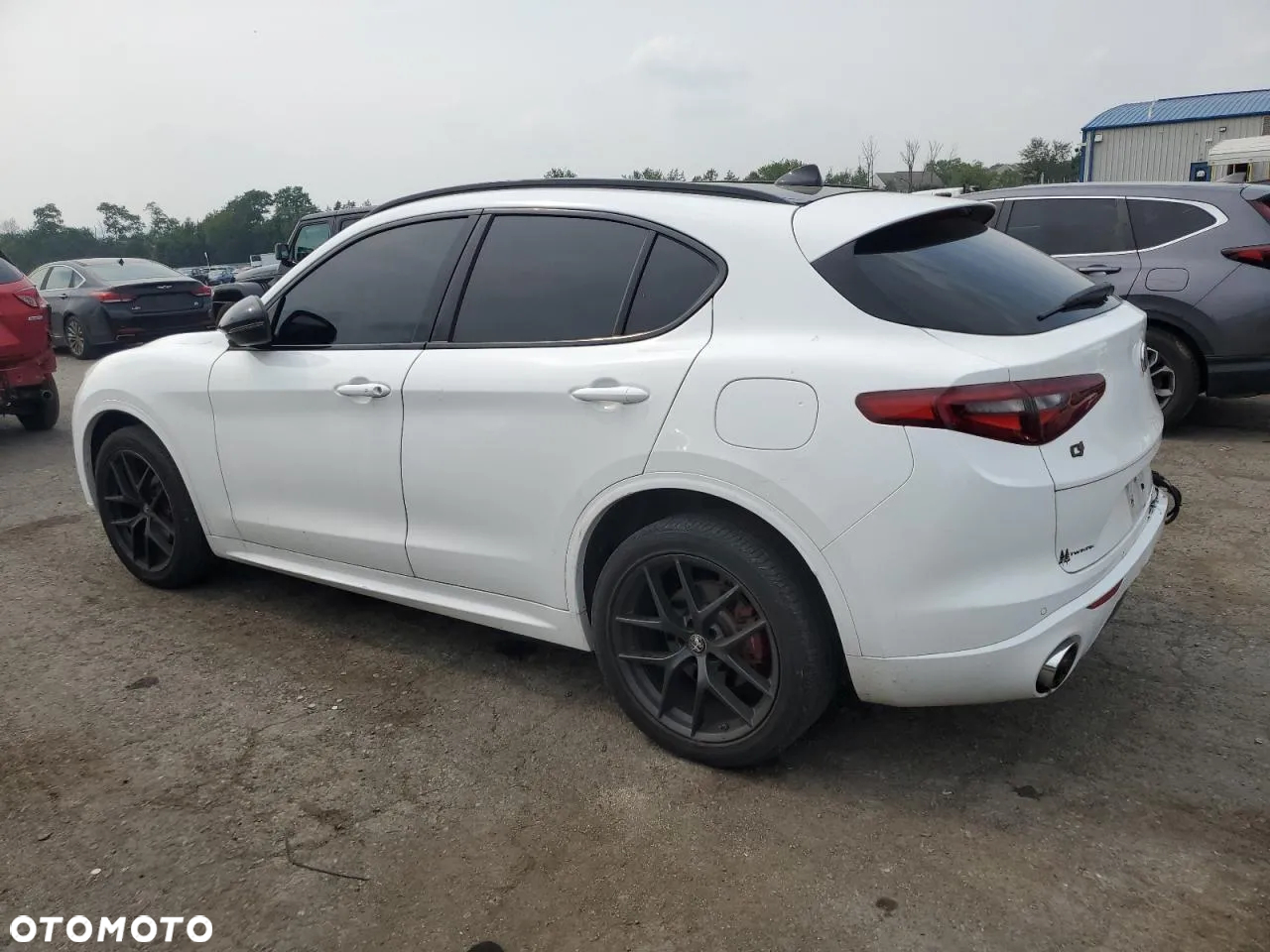 Alfa Romeo Stelvio 2.0 Turbo 6C Villa D'este Q4 - 3