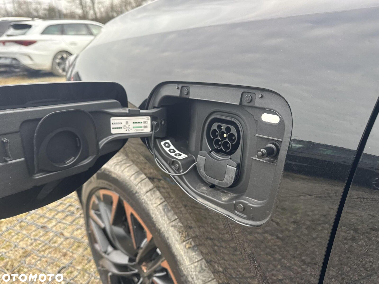 Cupra Terramar - 29