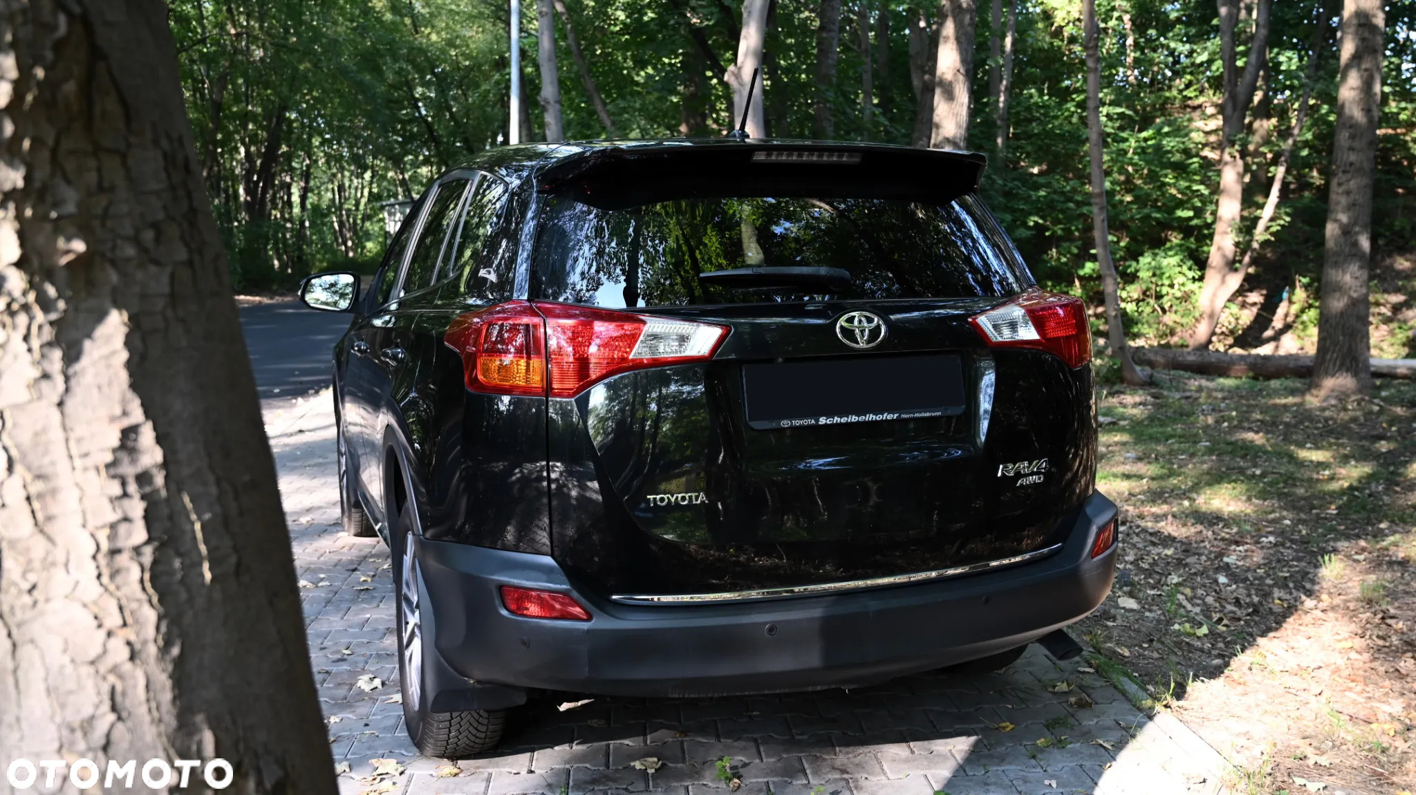 Toyota RAV4 - 16
