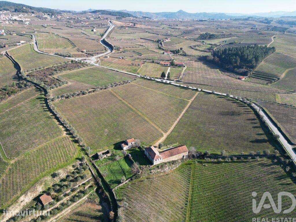 Quinta em Alijó de 872,00 m2