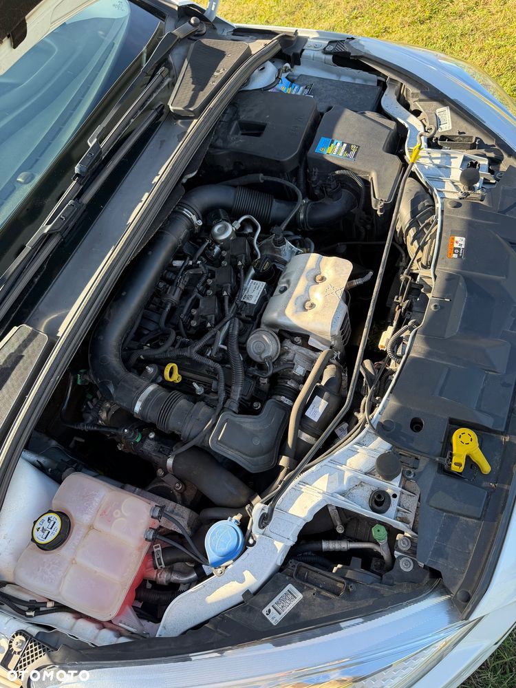 Ford Focus - 29
