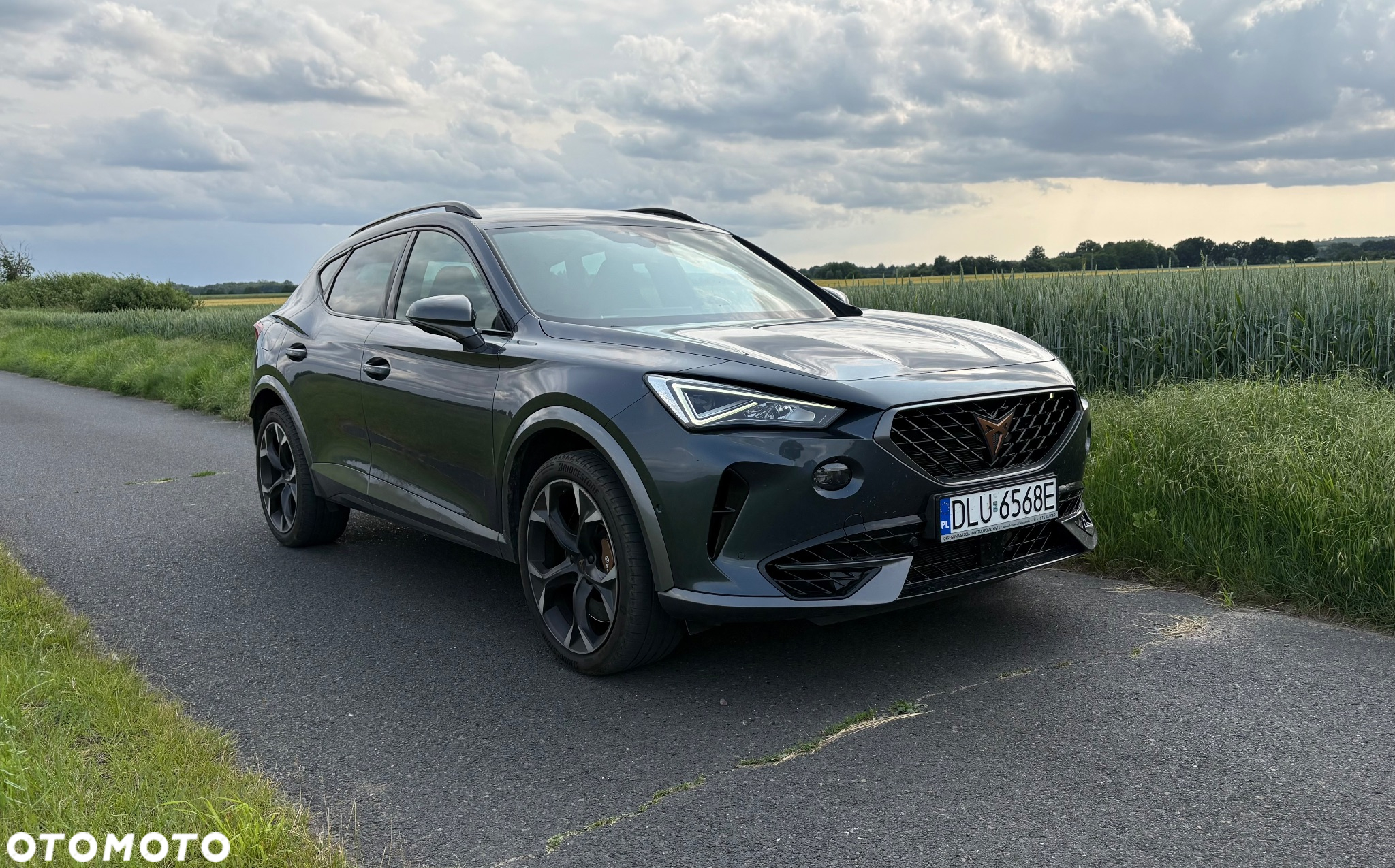Cupra Formentor VZ 2.0 TSI 4Drive DSG - 4