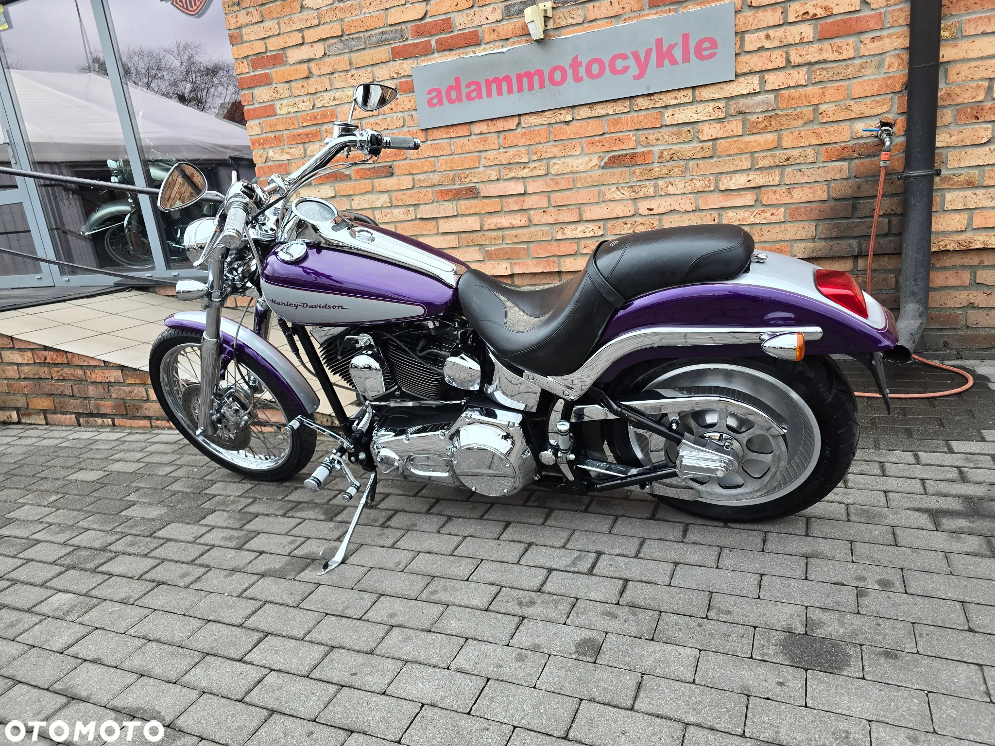 Harley-Davidson Softail - 3