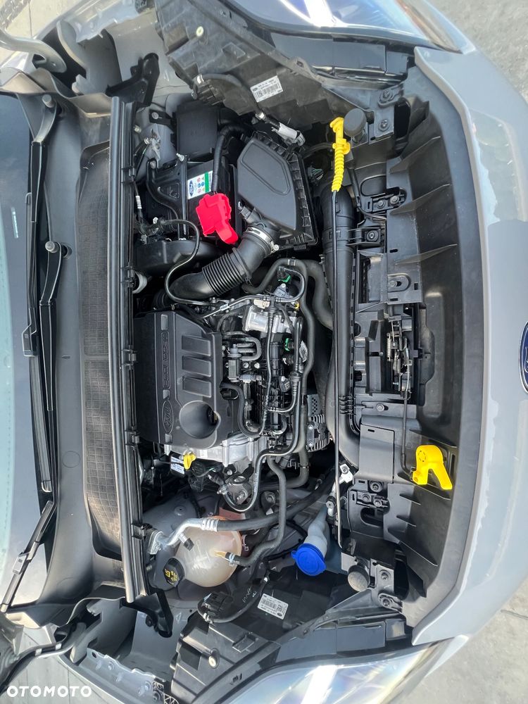 Ford Puma 1.0 EcoBoost Hybrid COOL & CONNECT - 32