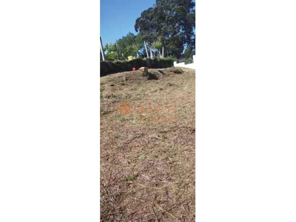 Terreno de cultivo - Grande imagem: 4/5