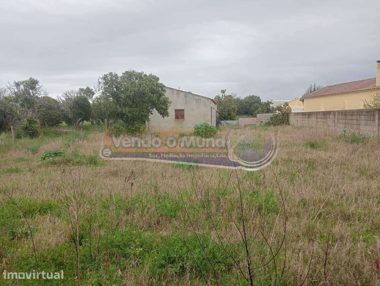 Terreno em Marinhais (M752) - Grande imagem: 2/3