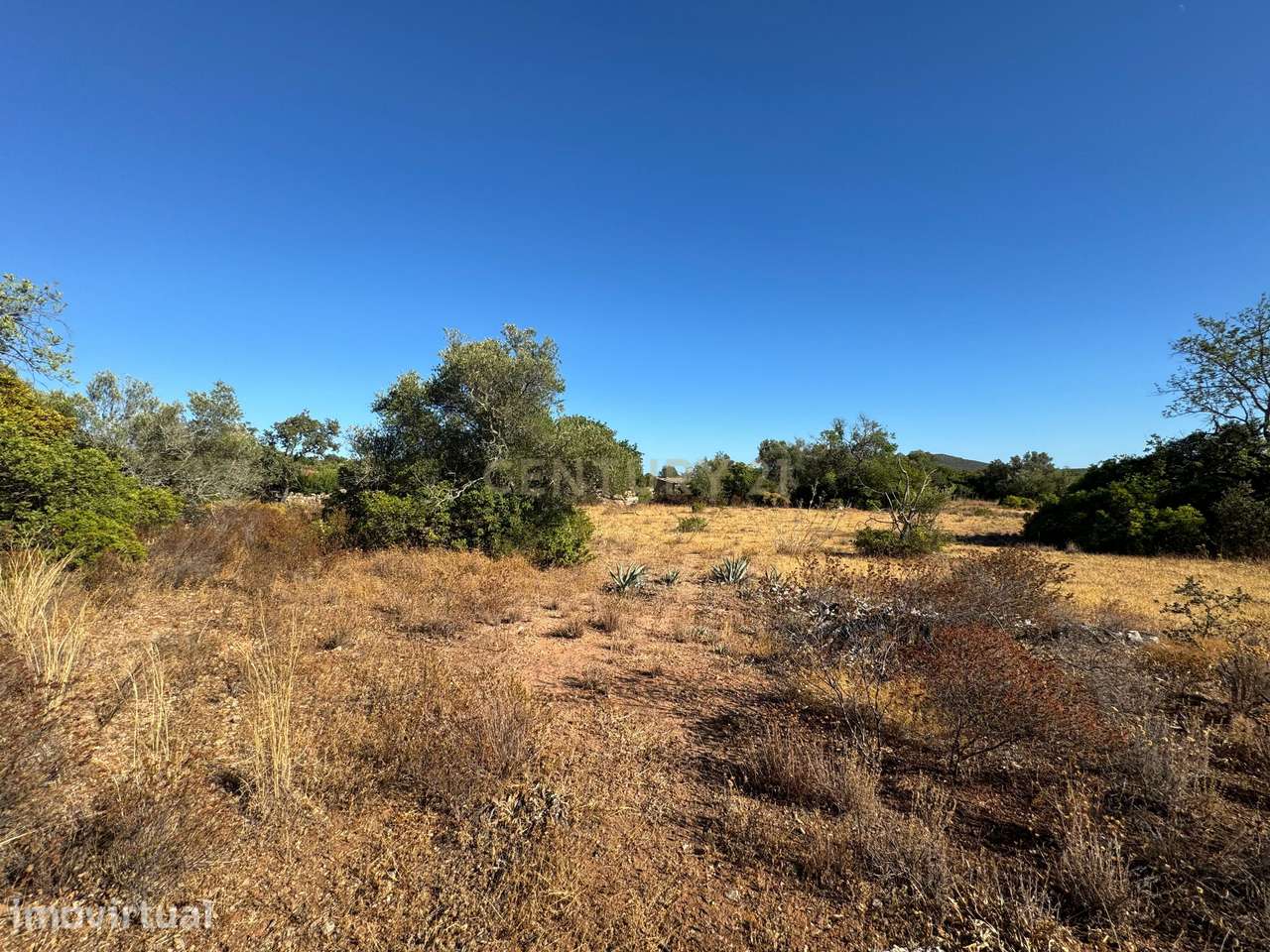 Terreno Agrícola para Venda – Santa Catarina, Tavira com 10.320 m2, - Grande imagem: 3/16