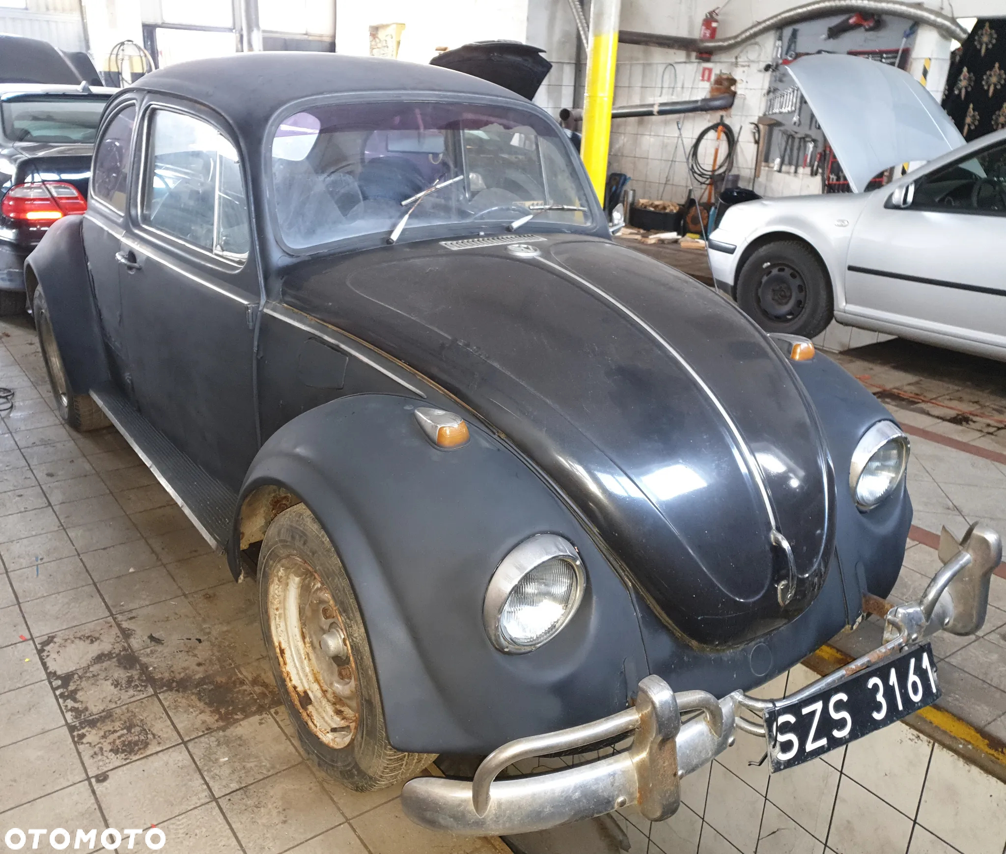 Volkswagen Garbus - 2