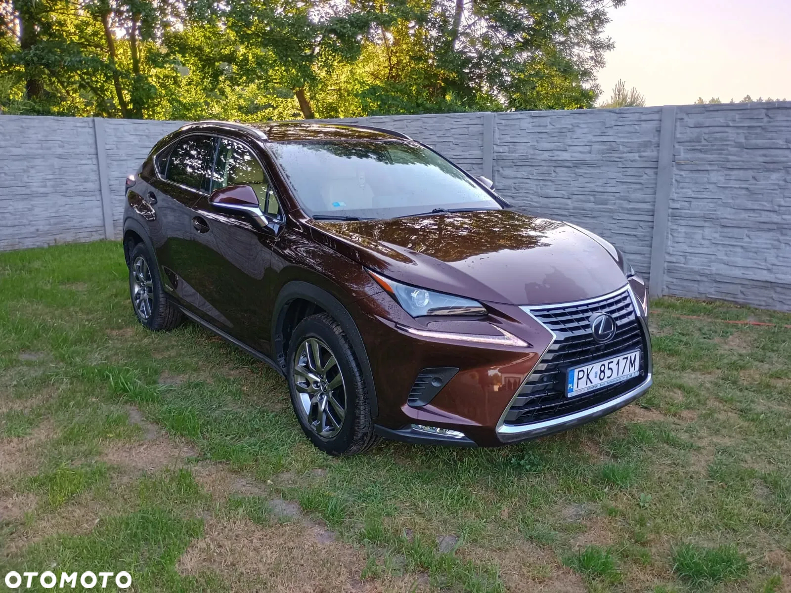 Lexus NX 300h Elegance AWD - 3