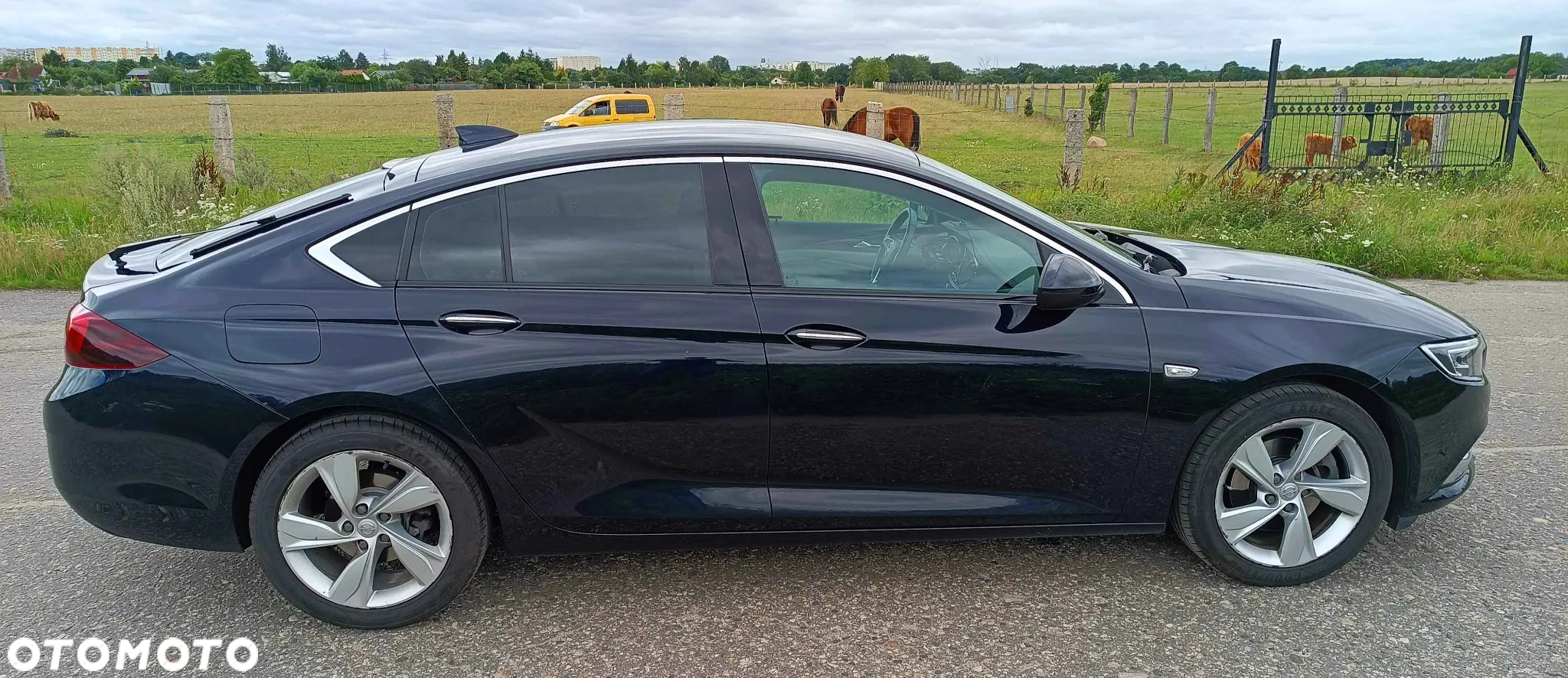 Opel Insignia - 2