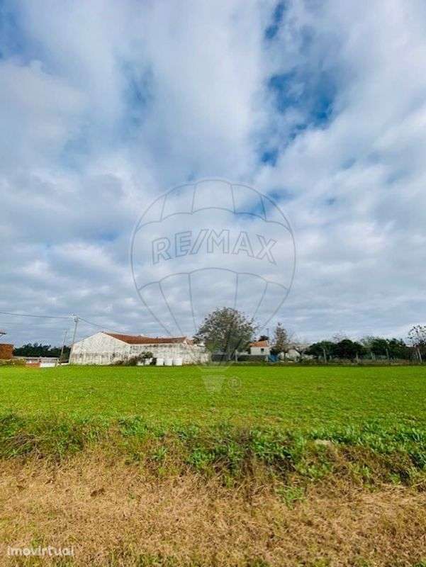 Terreno  para venda - Grande imagem: 2/14