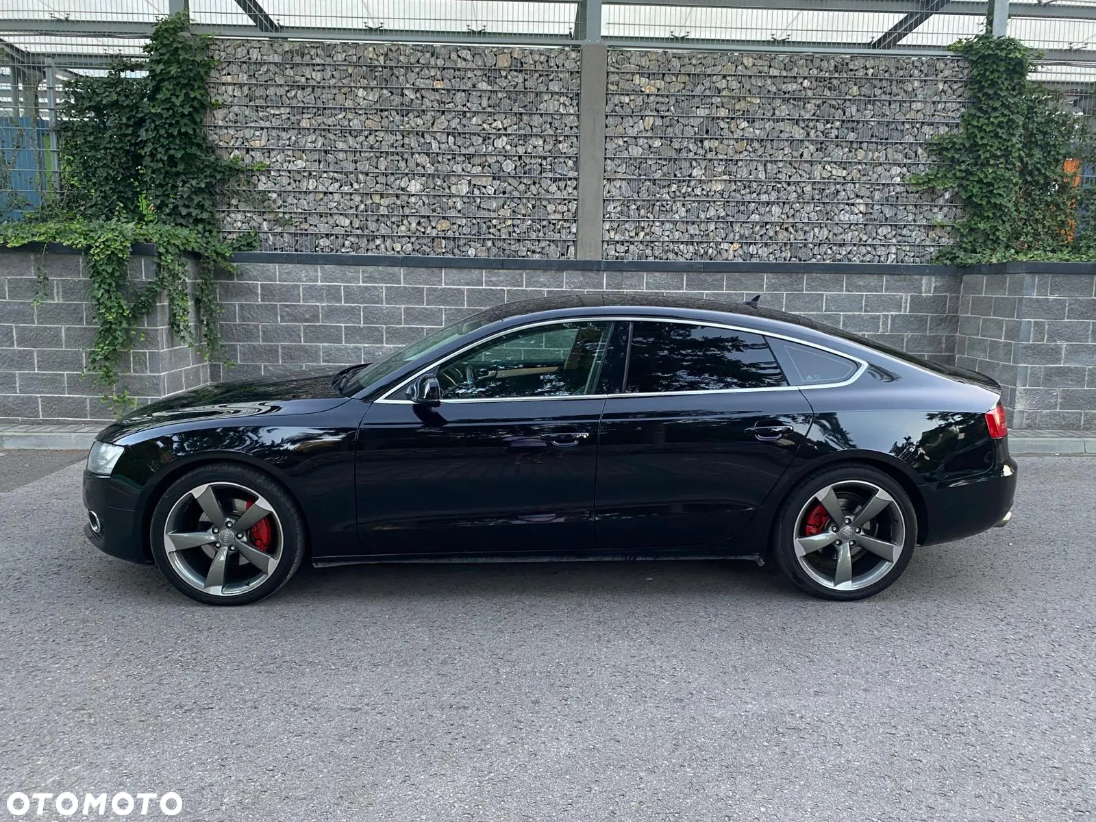 Audi A5 3.0 TDI Sportback quattro DPF S tronic - 3