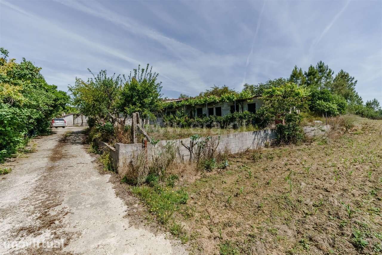 Quinta T1 / Fundão, Salgueiro - Grande imagem: 4/20