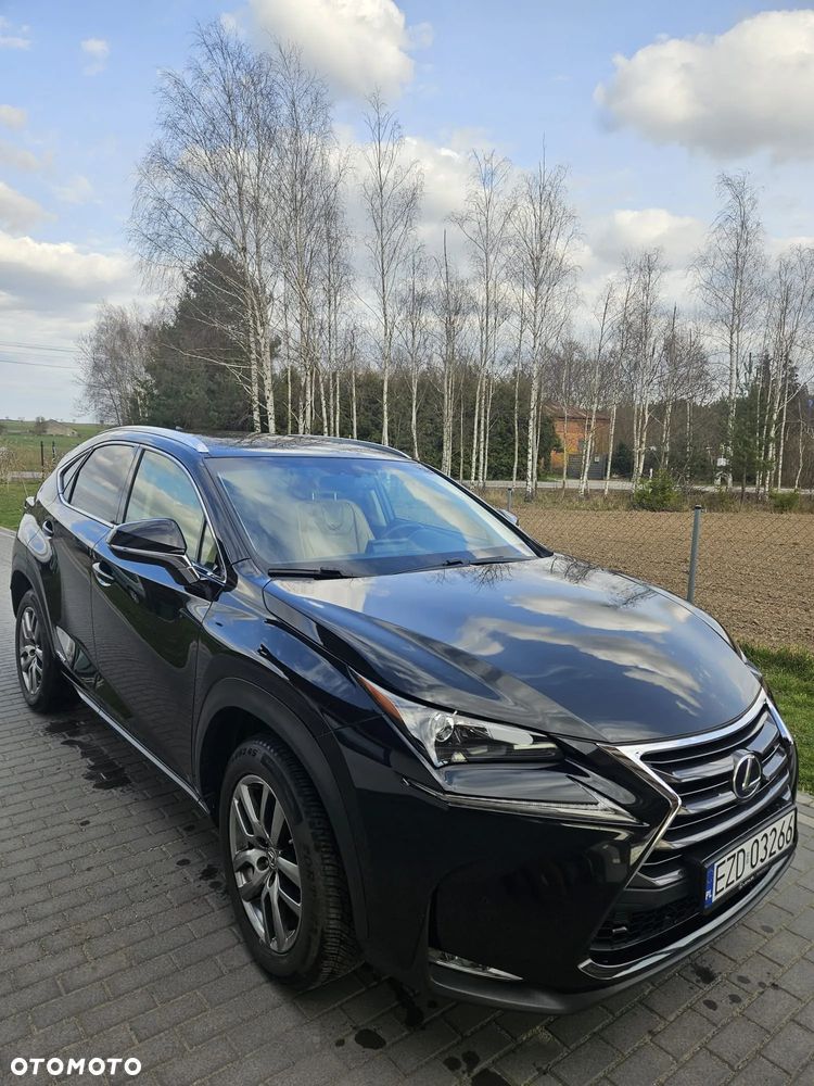 Lexus NX - 5