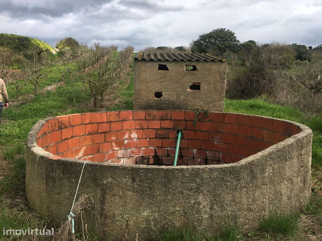 Terreno Agrícola com Pereiras Plano com Irrigação - Grande imagem: 3/26