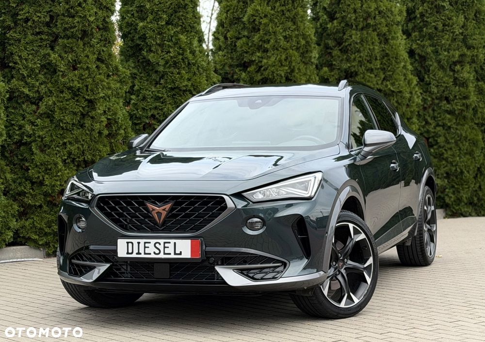 Cupra Formentor 2.0 TDI - 14