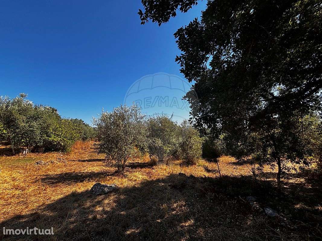 Moradia T2 para venda - Grande imagem: 4/17