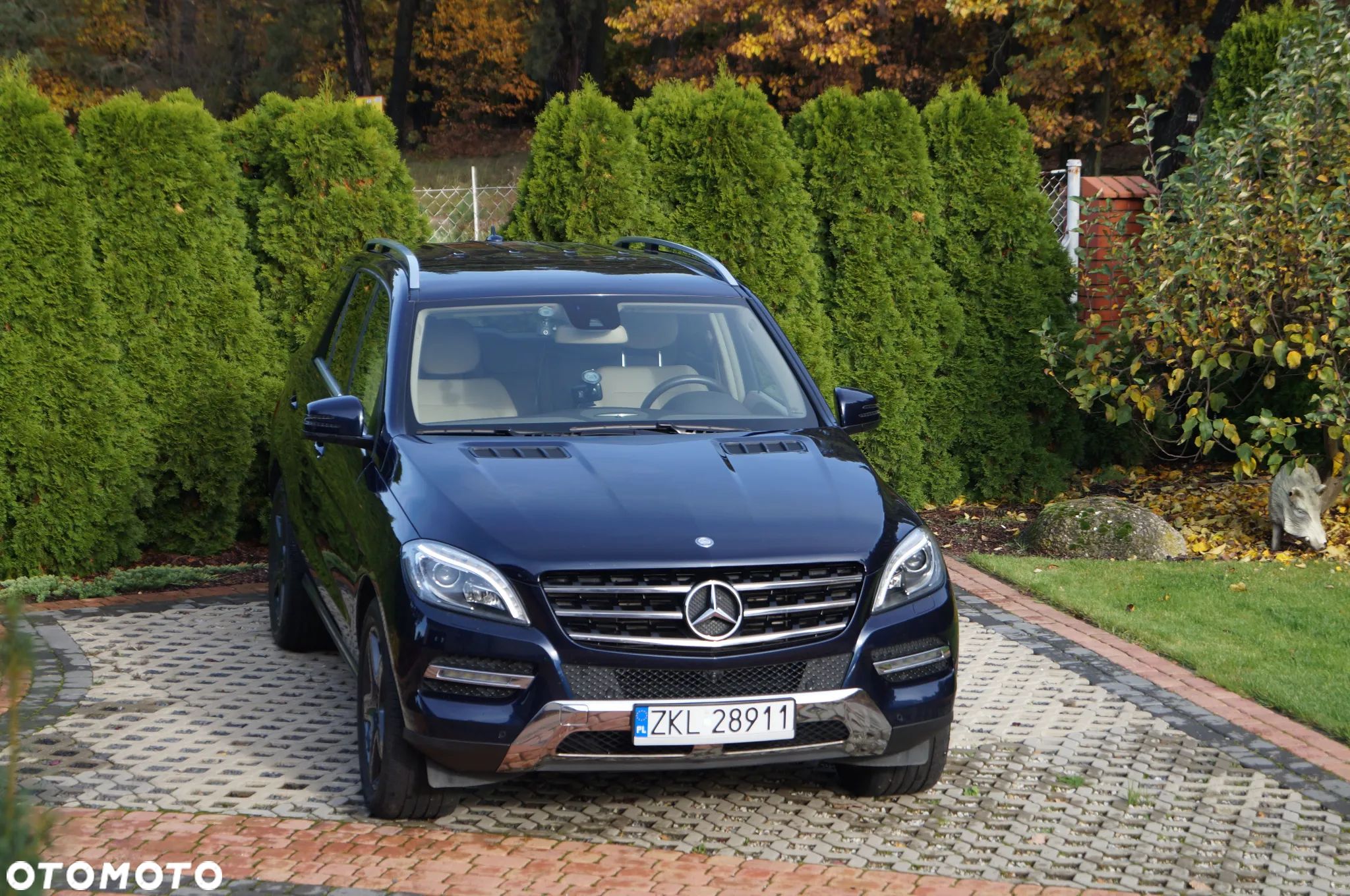 Mercedes-Benz ML 350 BlueTec 4-Matic - 1