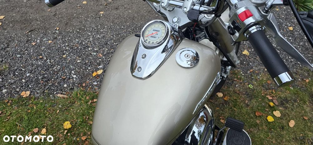 Yamaha Drag Star - 12