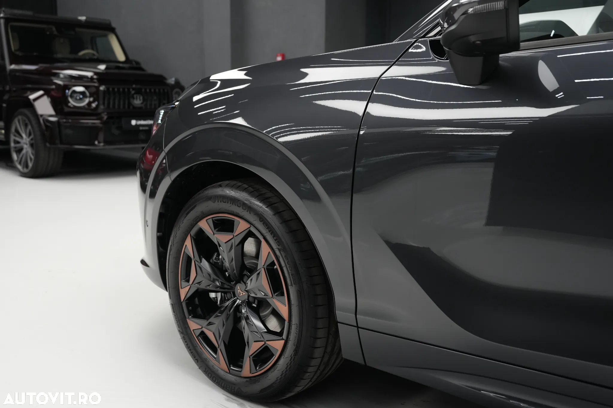 Cupra Terramar - 7